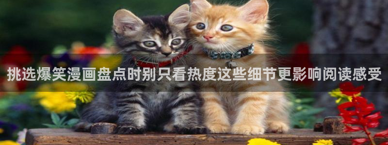 梦漫漫画作品查询：挑选爆笑漫画盘点时别只看热度这些细节更影响阅读感受