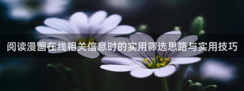 梦漫漫画阅读客户端：阅读漫画在线相关信息时的实用筛选思路与实用技巧