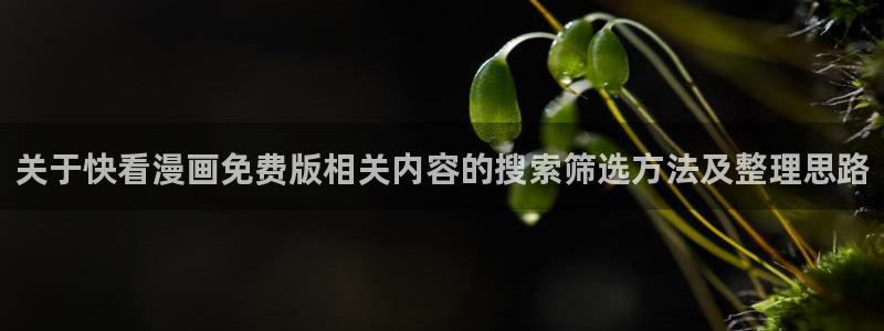 梦漫漫画热门连载：关于快看漫画免费版相关内容的搜索筛选方法及整理思路